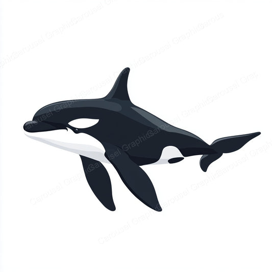 Orca Vector Graphic preview
