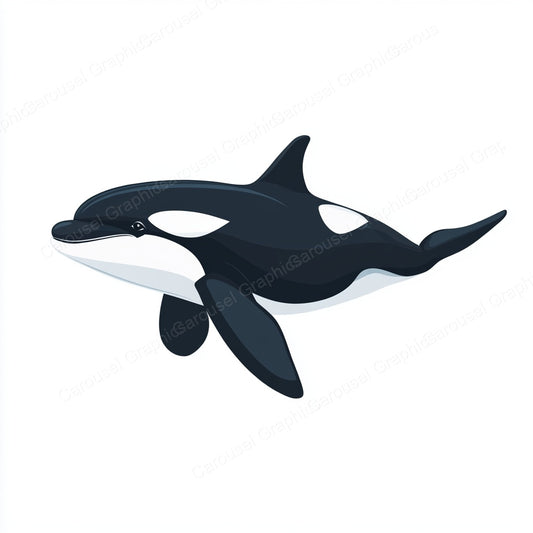 Orca Vector Graphic preview