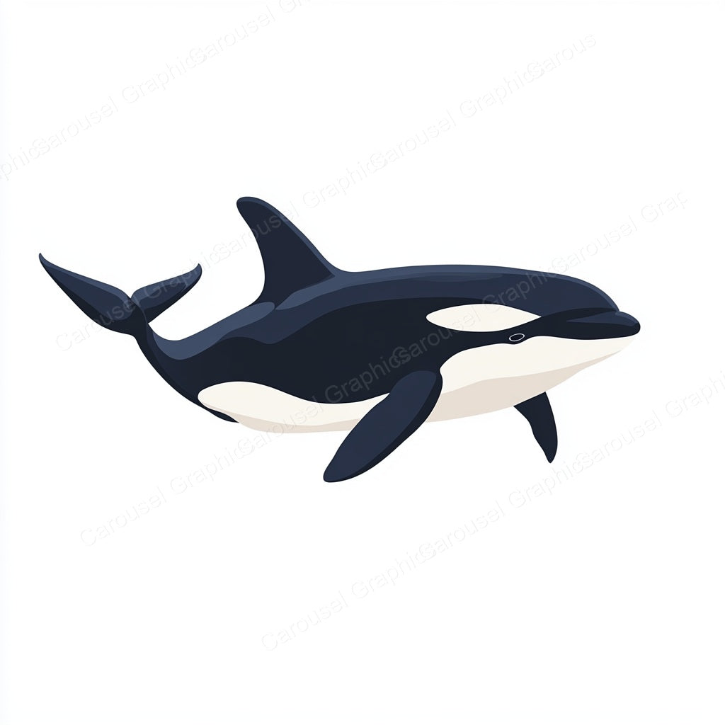 Orca Vector Graphic preview