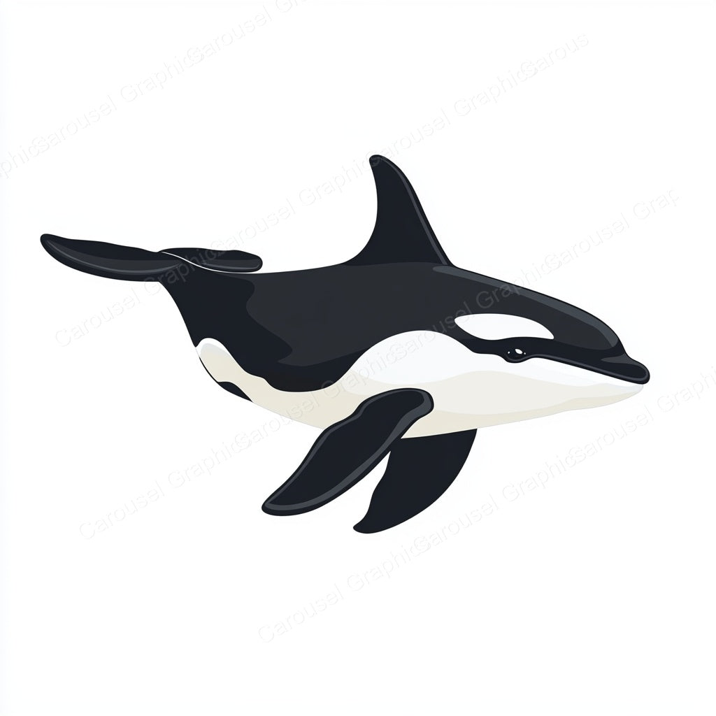 Orca Vector Graphic preview