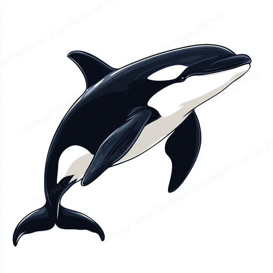 Orca Vector Graphic preview