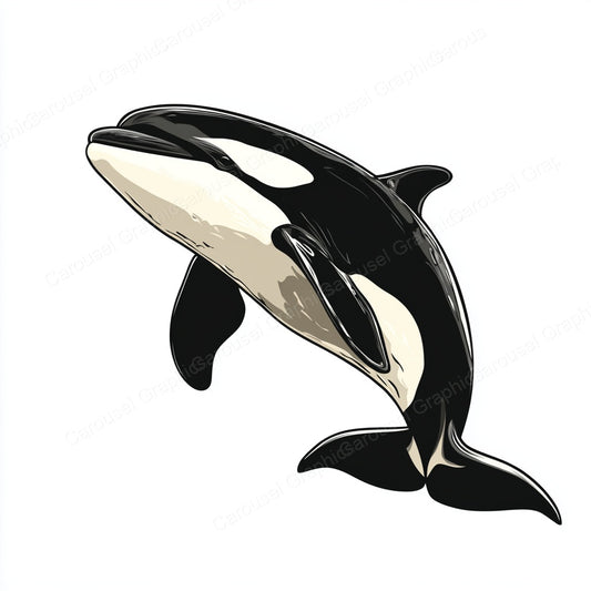 Orca Vector Graphic preview
