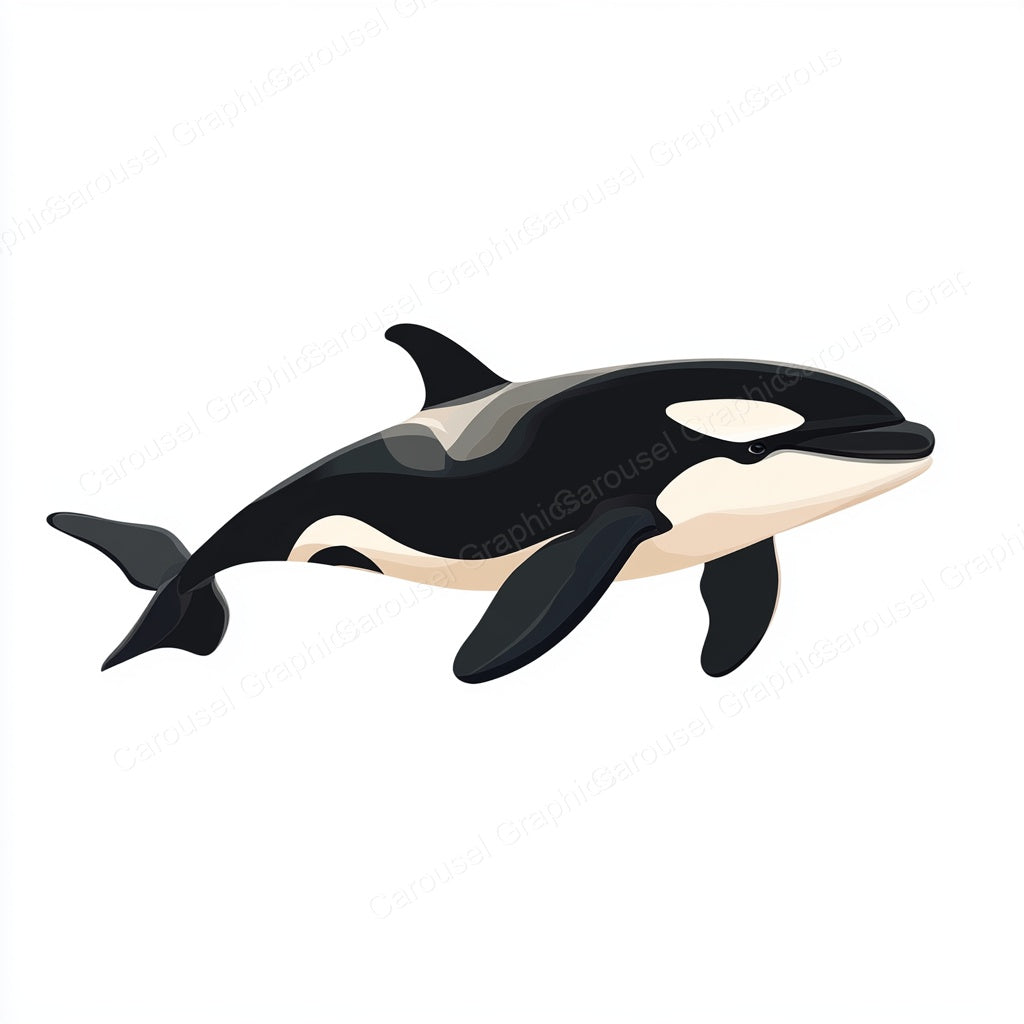 Orca Vector Graphic preview
