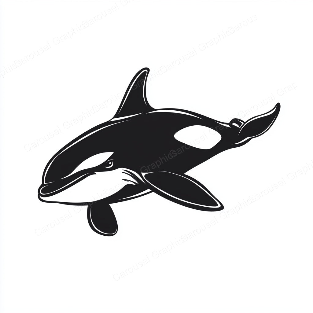 Orca Vector Graphic preview