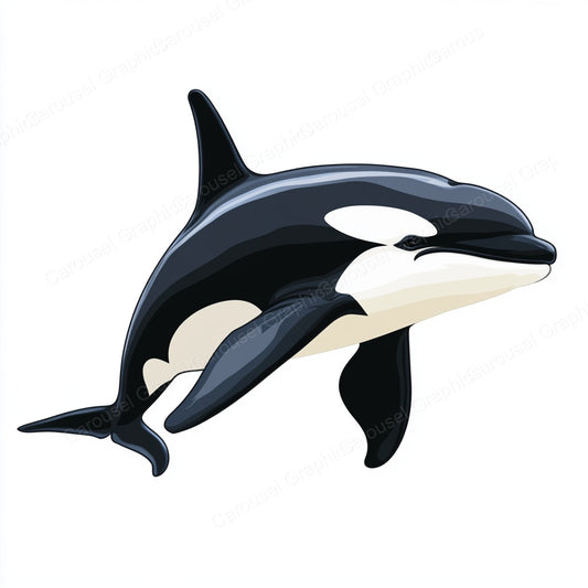 Orca Vector Graphic preview
