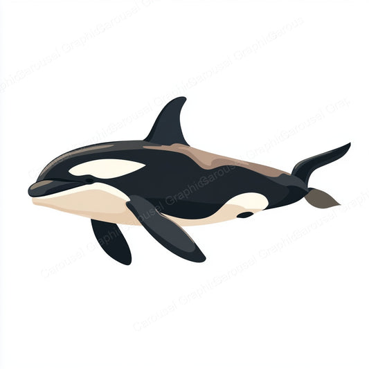 Orca Vector Graphic preview