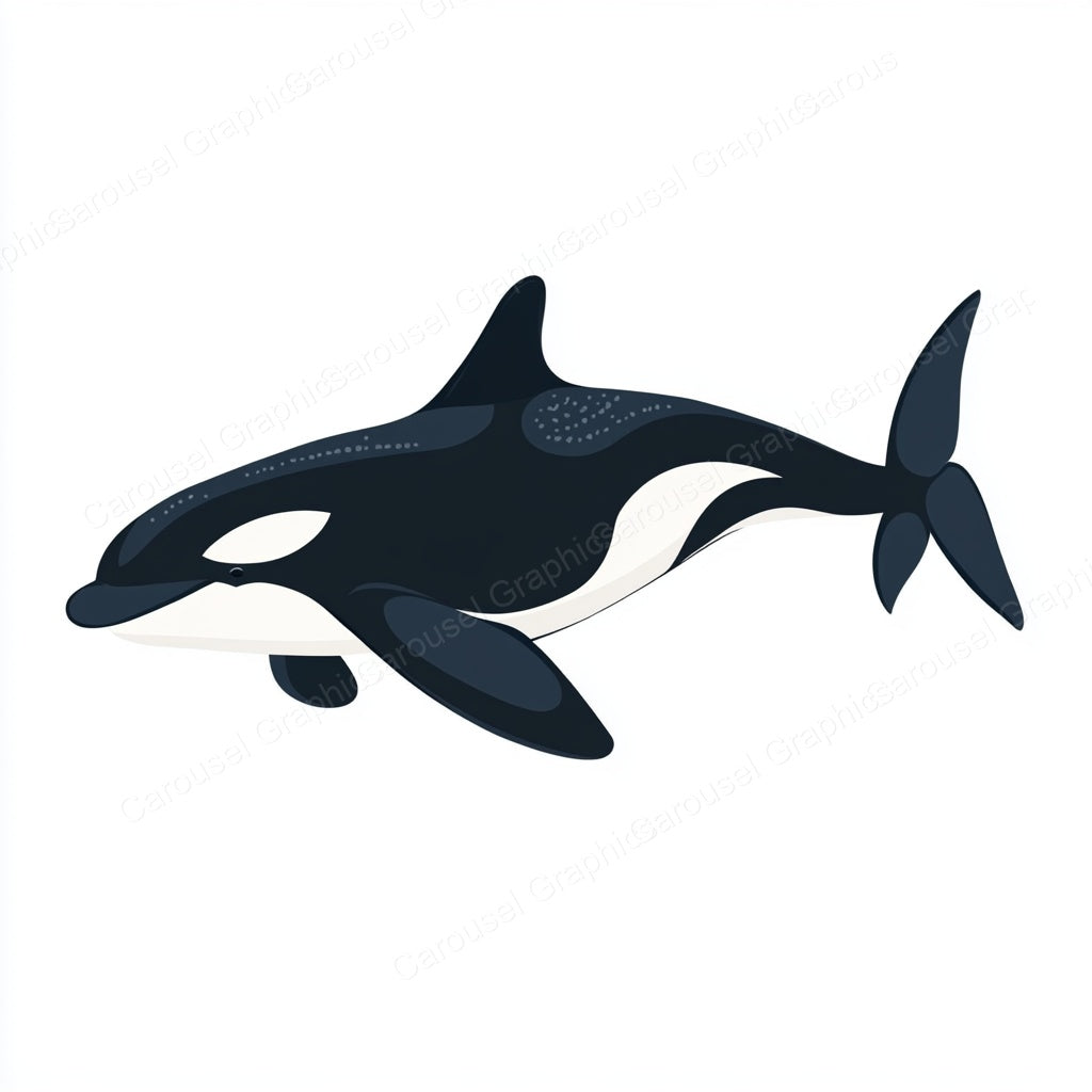 Orca Vector Graphic preview