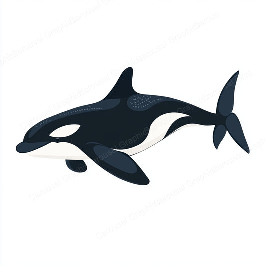 Orca Vector Graphic preview