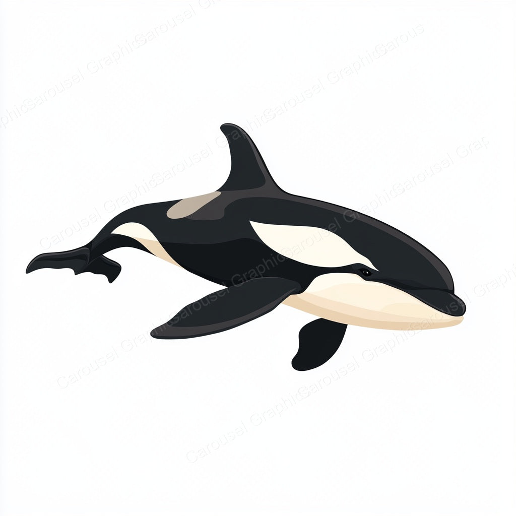 Orca Vector Graphic preview