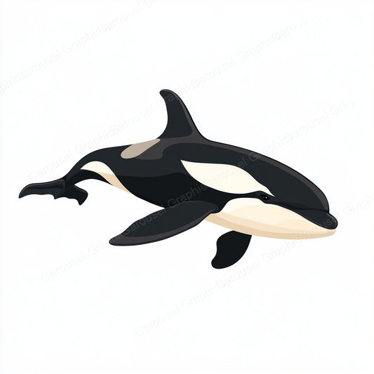 Orca Vector Graphic preview