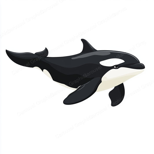 Orca Vector Graphic preview