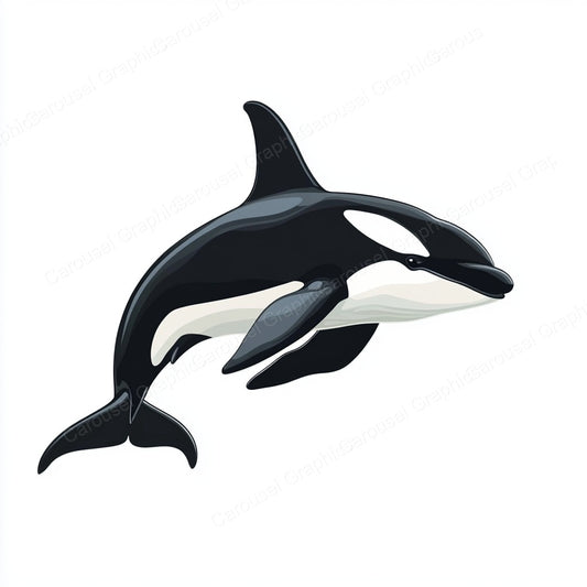Orca Vector Graphic preview