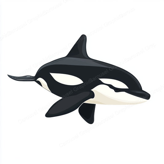Orca Vector Graphic preview