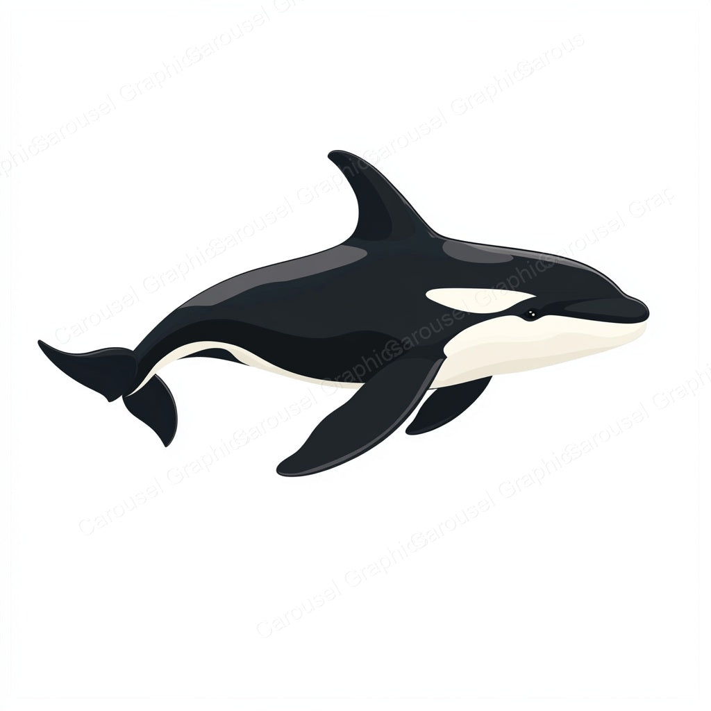 Orca Vector Graphic preview