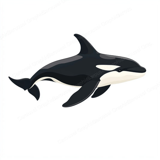 Orca Vector Graphic preview