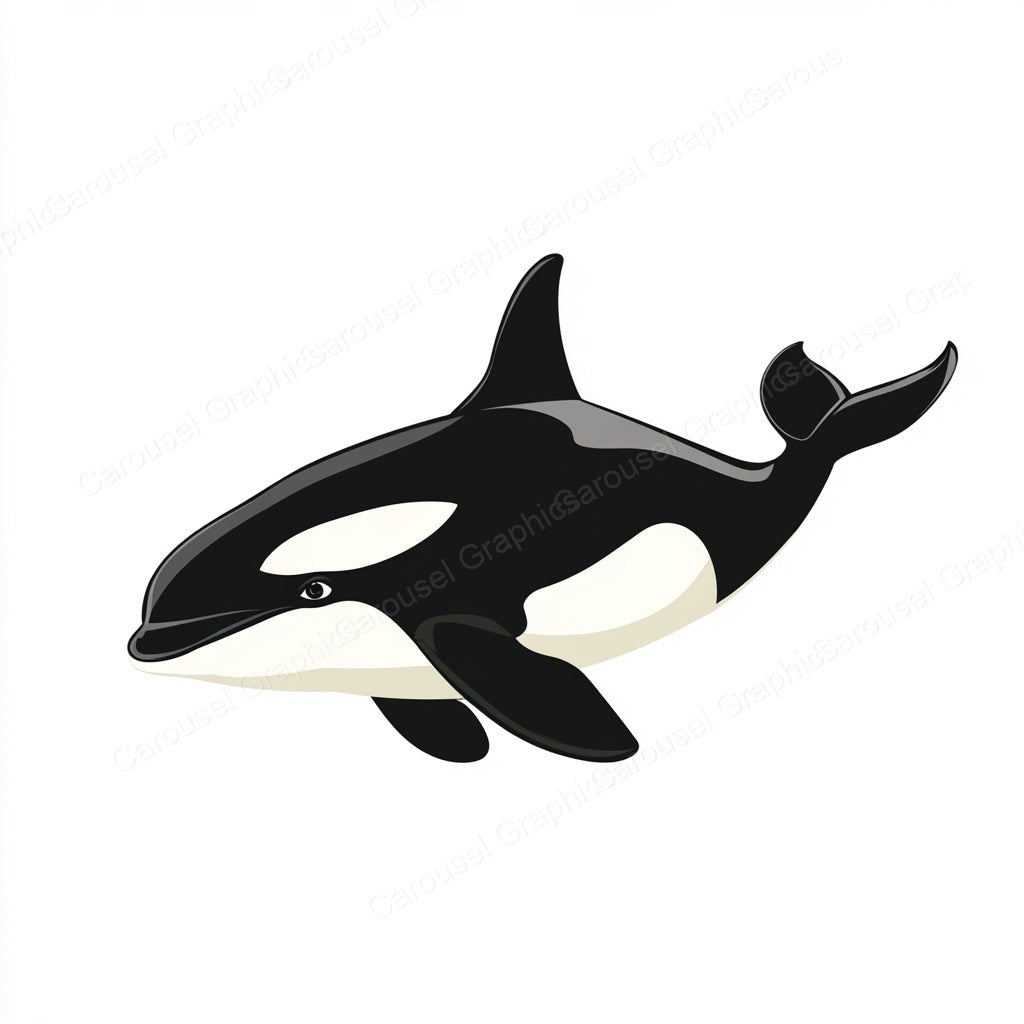 Orca Vector Graphic preview