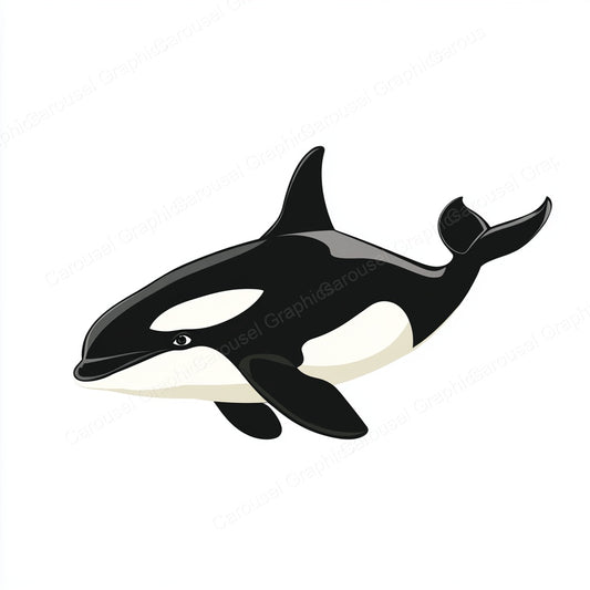 Orca Vector Graphic preview