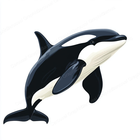 Orca Vector Graphic preview