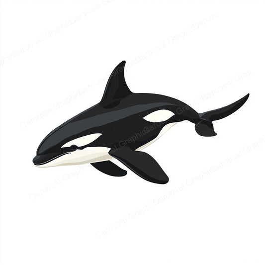 Orca Vector Graphic preview