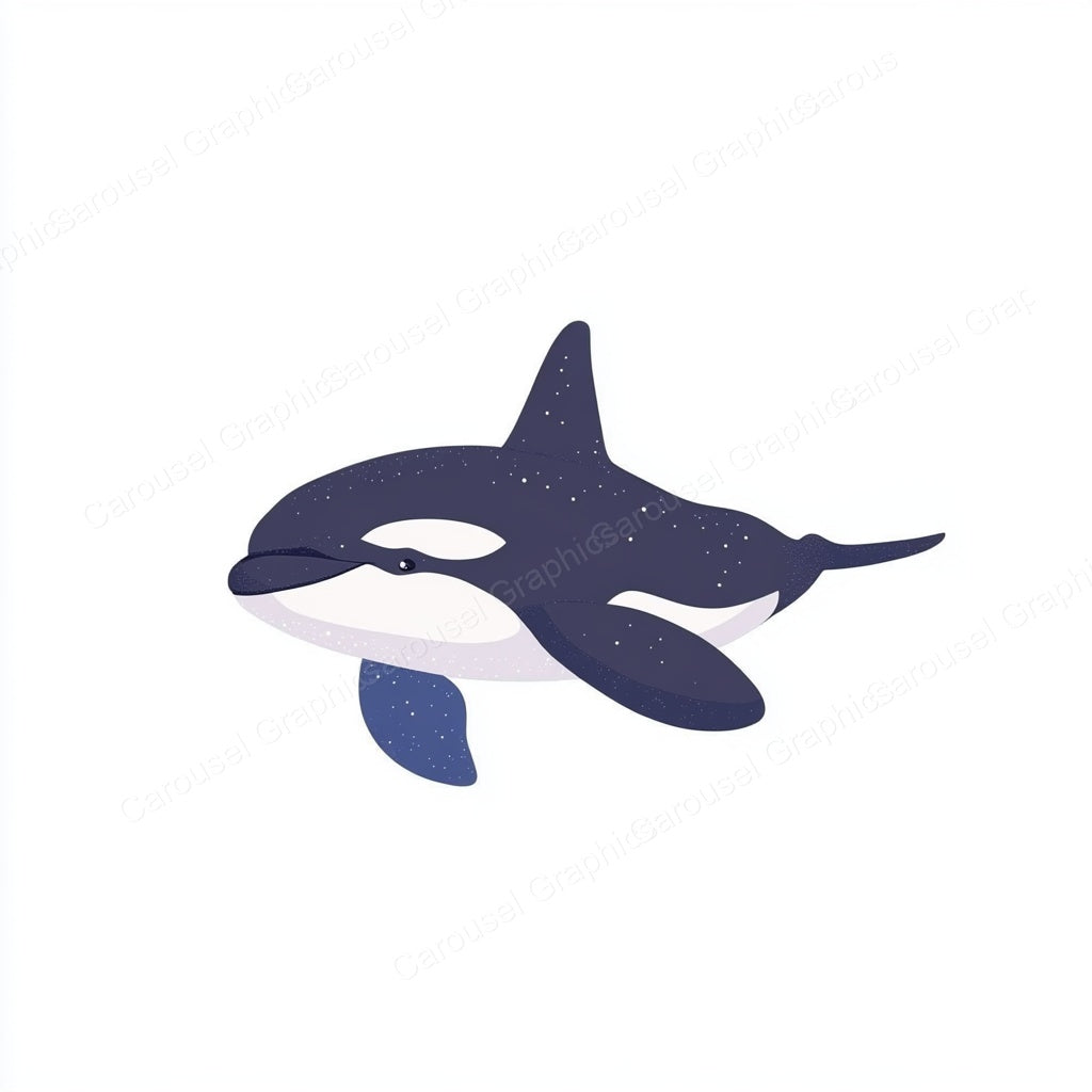 Orca Vector Graphic preview