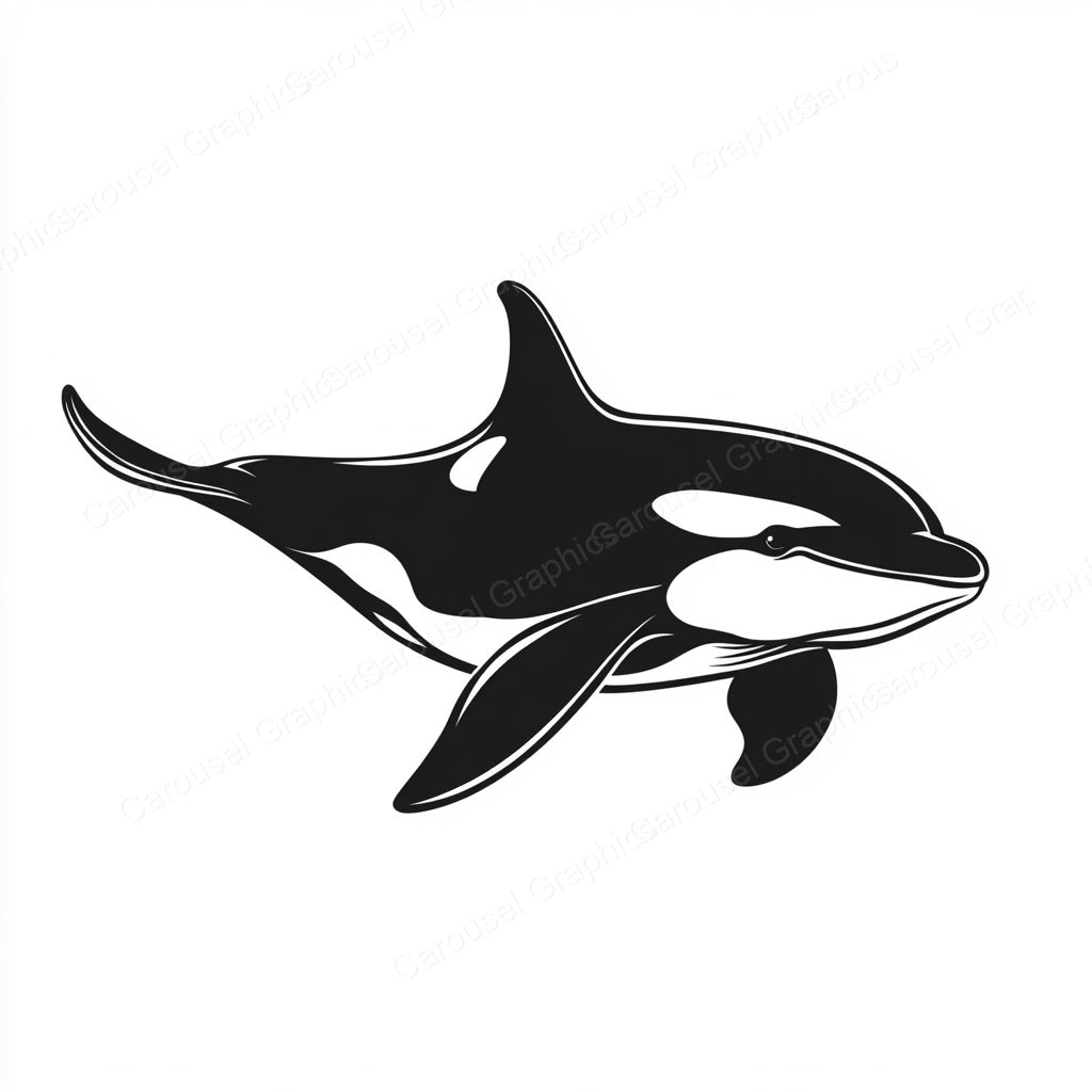 Orca Vector Graphic preview