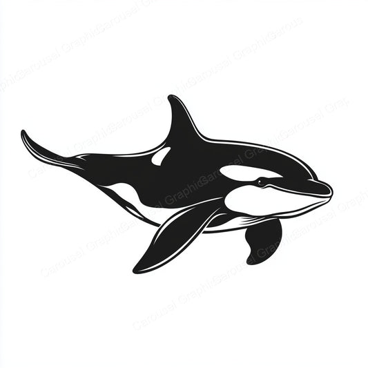 Orca Vector Graphic preview