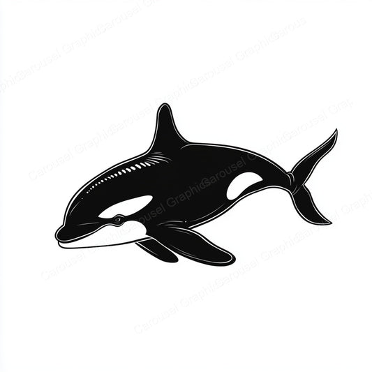 Orca Vector Graphic preview