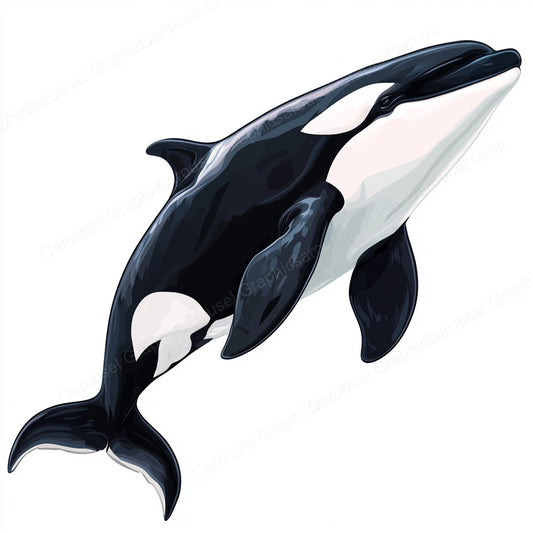 Orca Vector Graphic preview