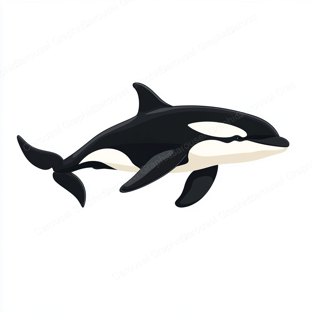 Orca Vector Graphic preview