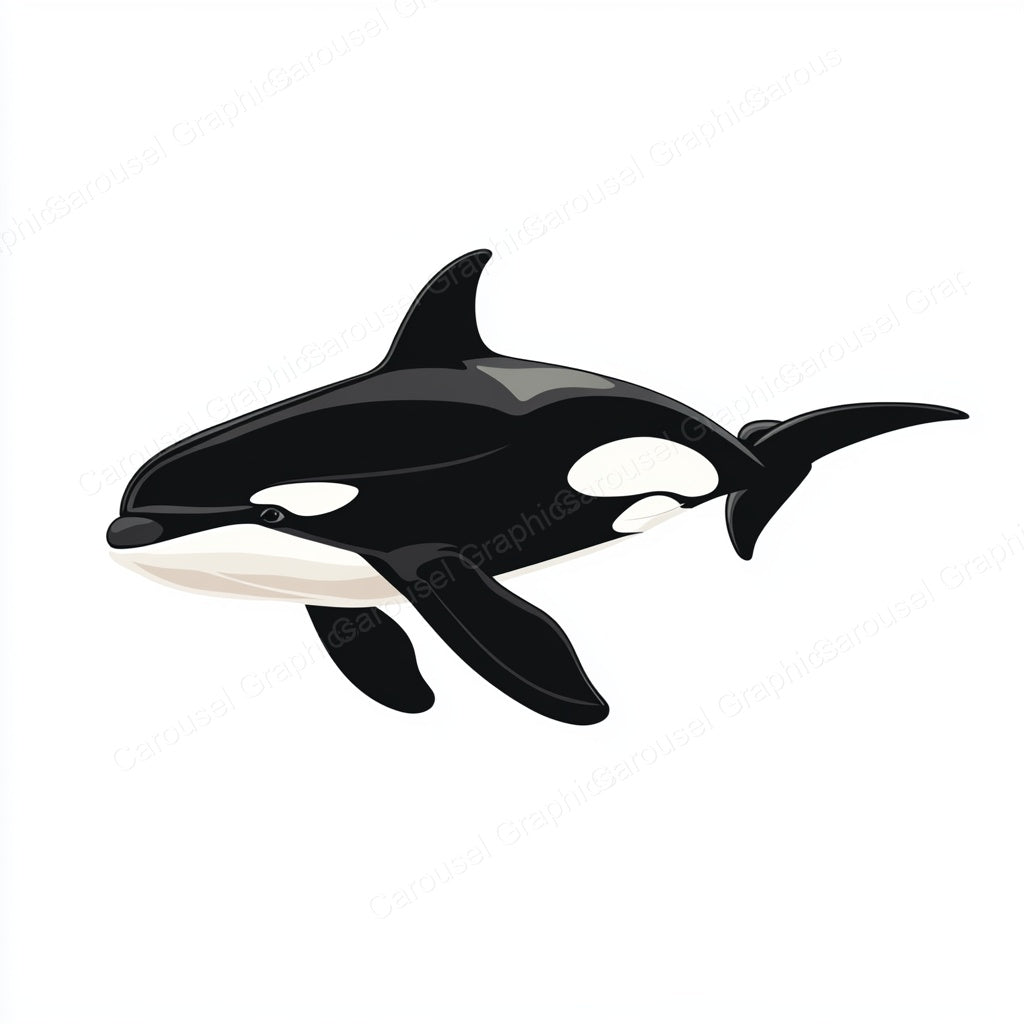 Orca Vector Graphic preview