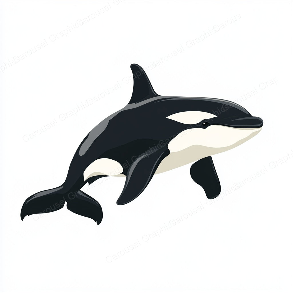 Orca Vector Graphic preview