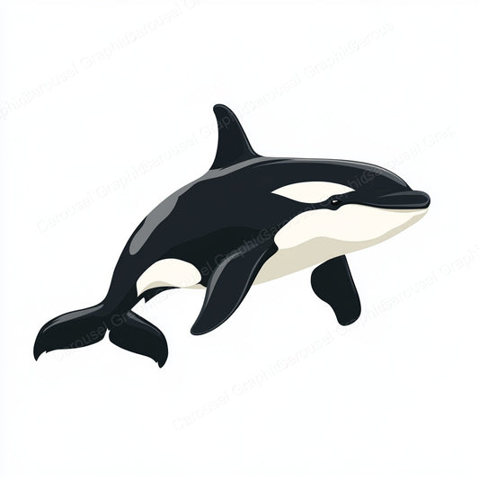 Orca Vector Graphic preview
