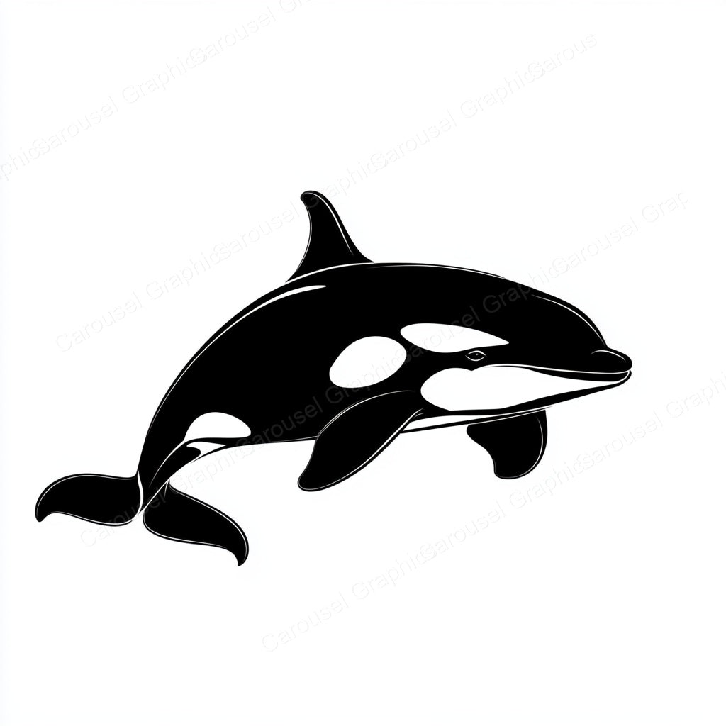 Orca Vector Graphic preview