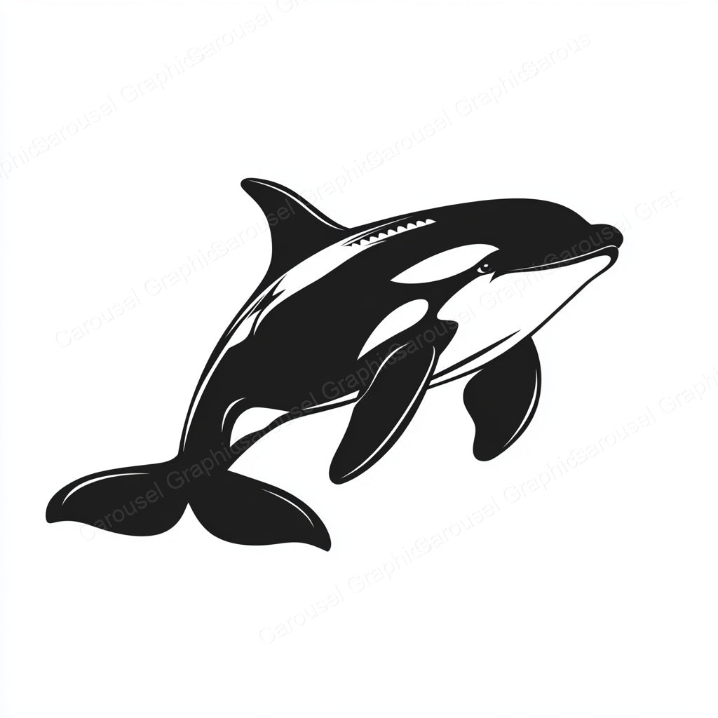 Orca Vector Graphic preview