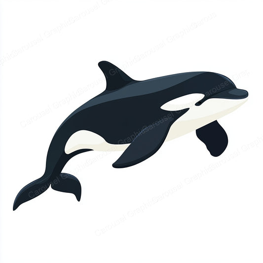 Orca Vector Graphic preview