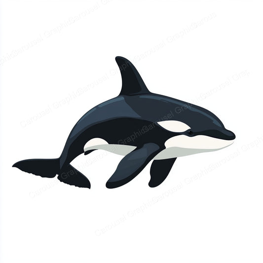 Orca Vector Graphic preview