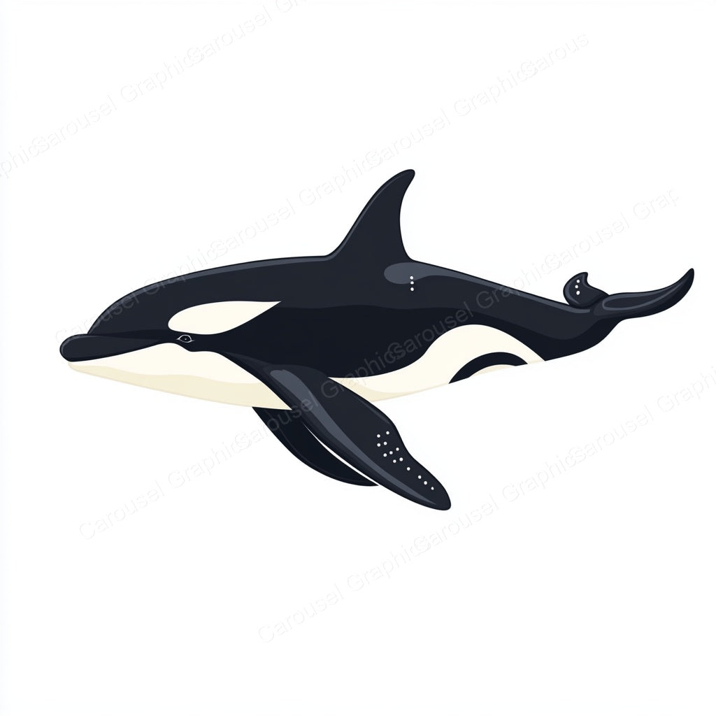 Orca Vector Graphic preview
