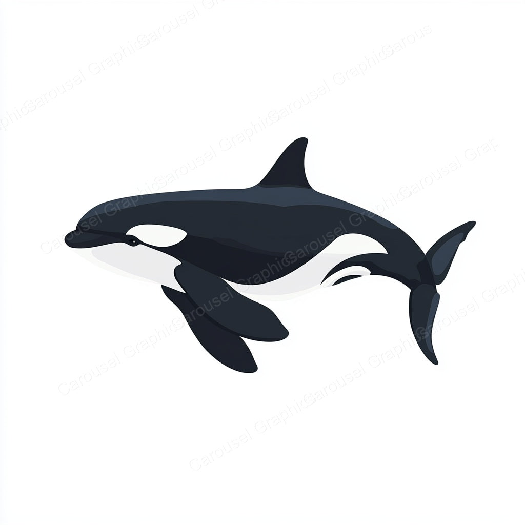 Orca Vector Graphic preview
