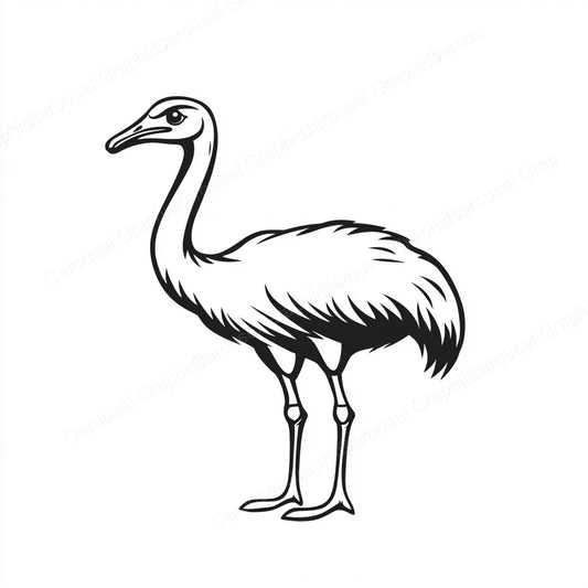 Ostrich Vector Graphic preview