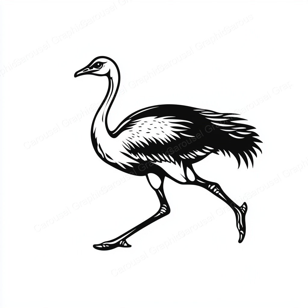 Ostrich Vector Graphic preview