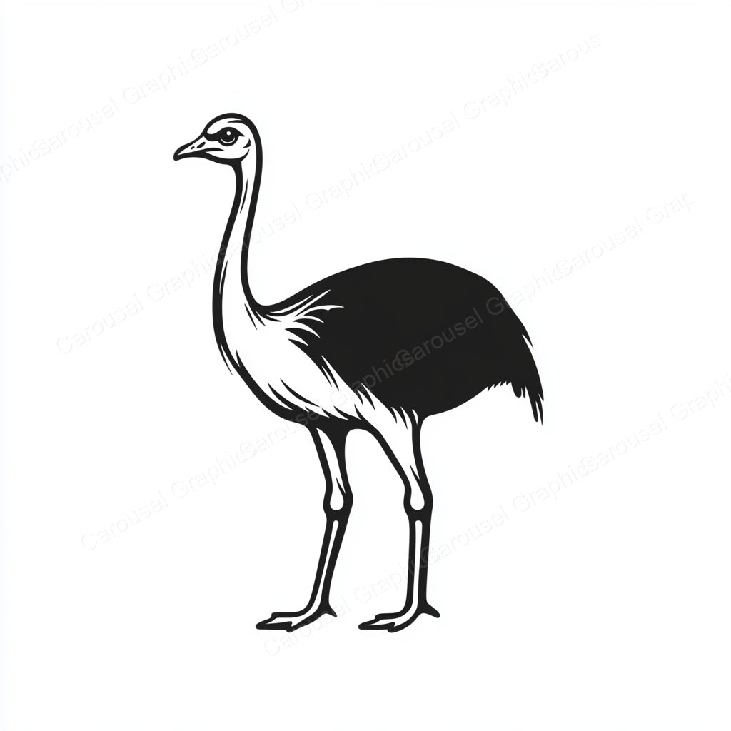 Ostrich Vector Graphic preview