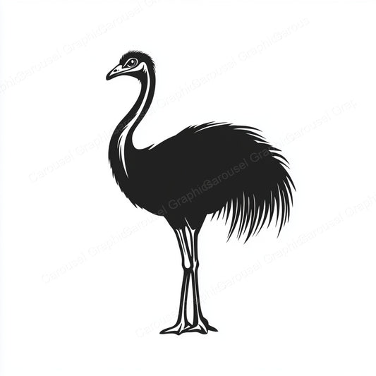 Ostrich Vector Graphic preview