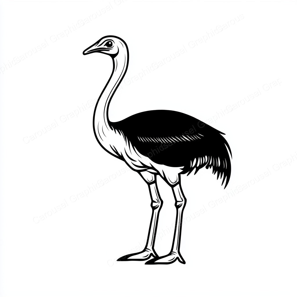 Ostrich Vector Graphic preview