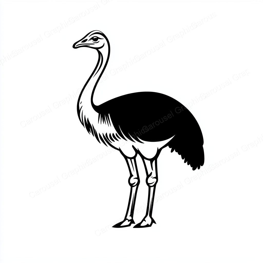 Ostrich Vector Graphic preview