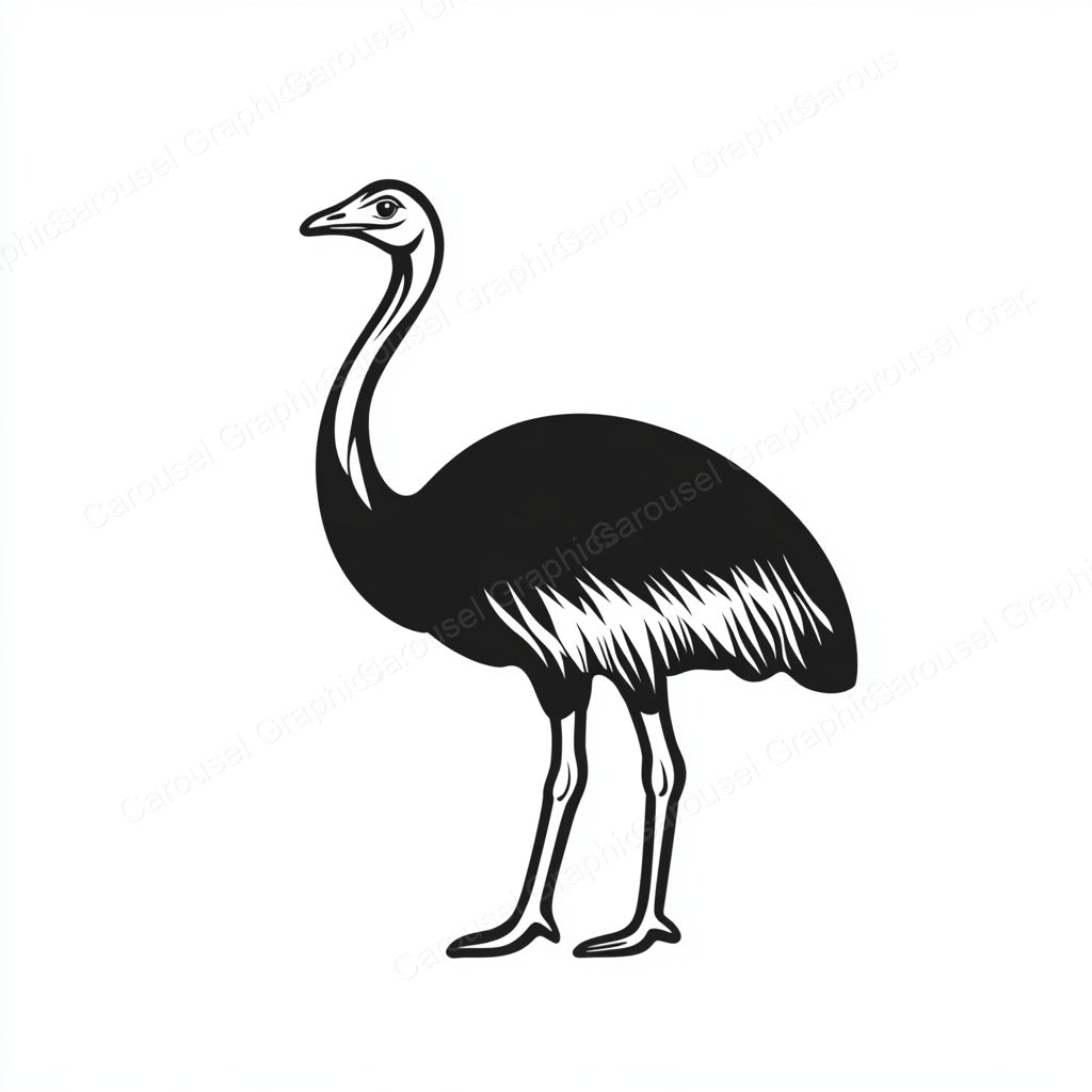 Ostrich Vector Graphic preview