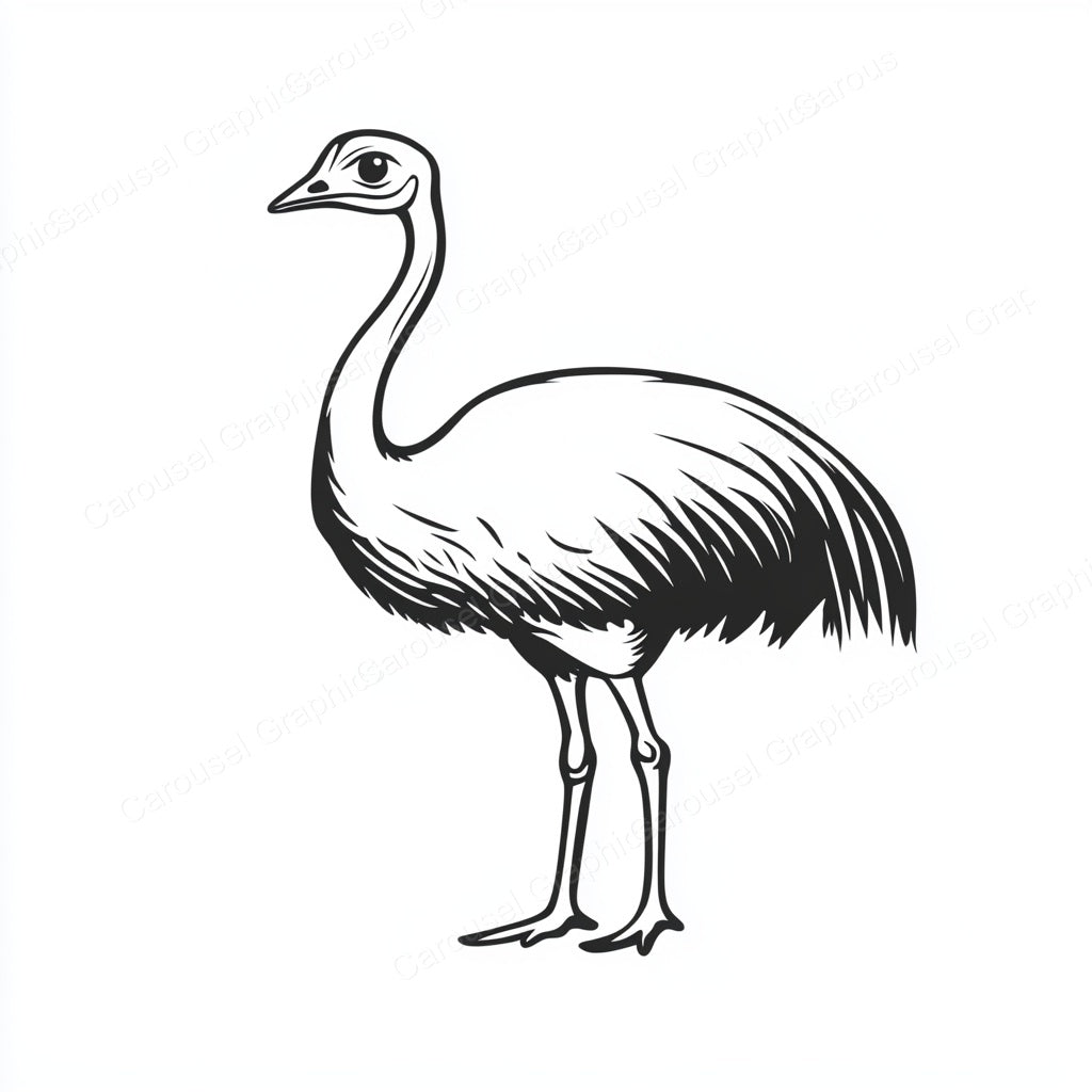 Ostrich Vector Graphic preview