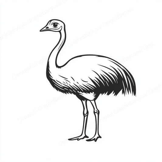 Ostrich Vector Graphic preview