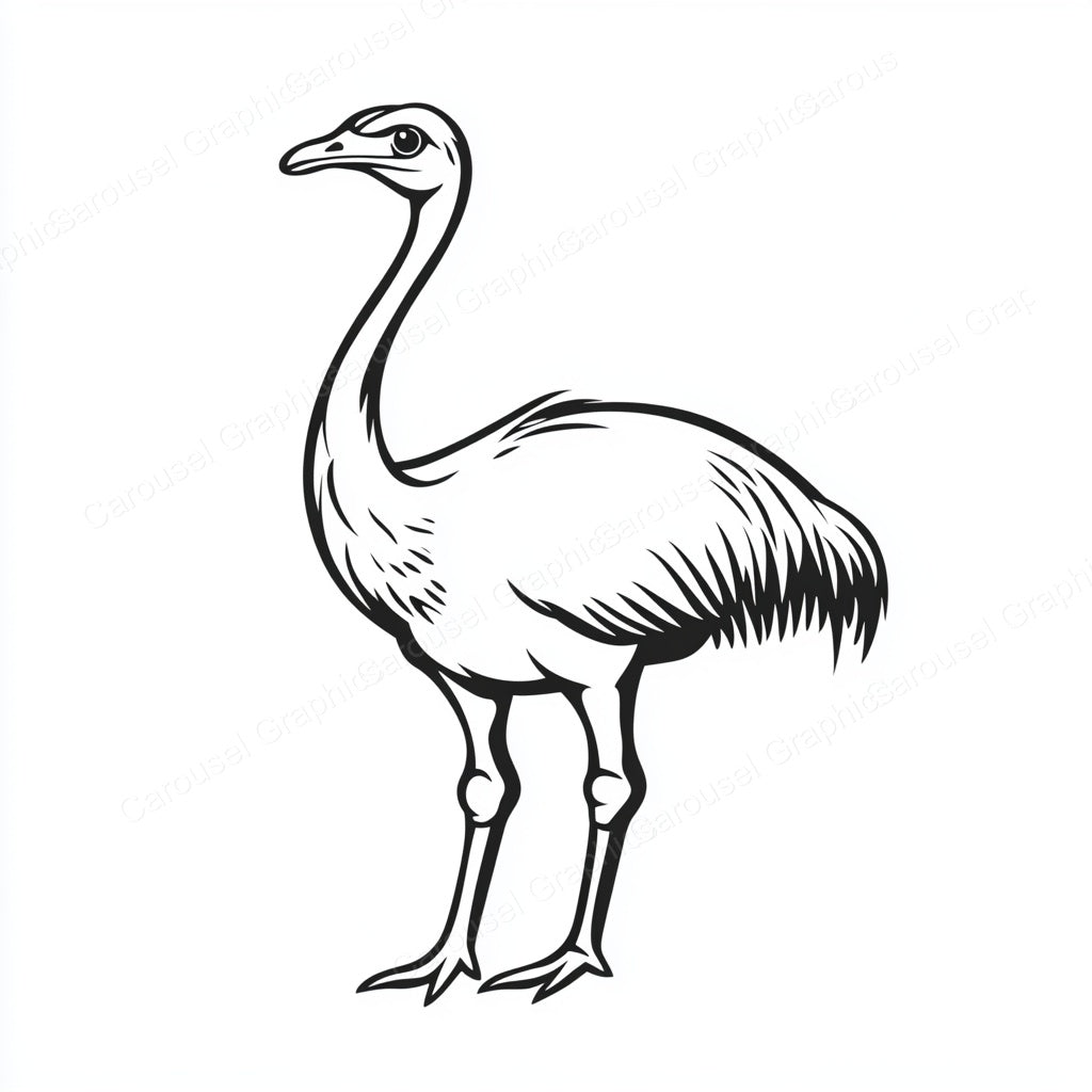 Ostrich Vector Graphic preview