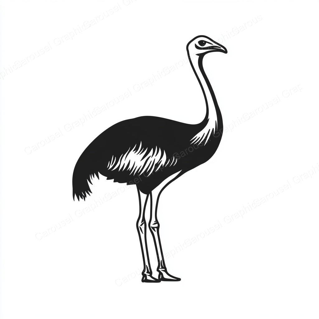 Ostrich Vector Graphic preview