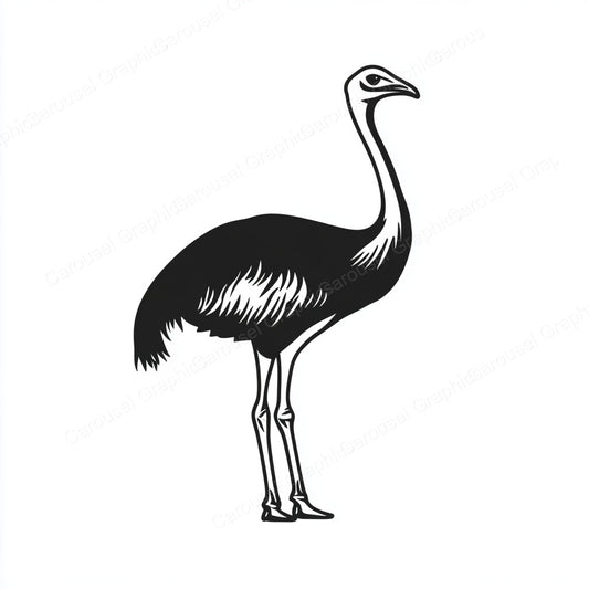 Ostrich Vector Graphic preview